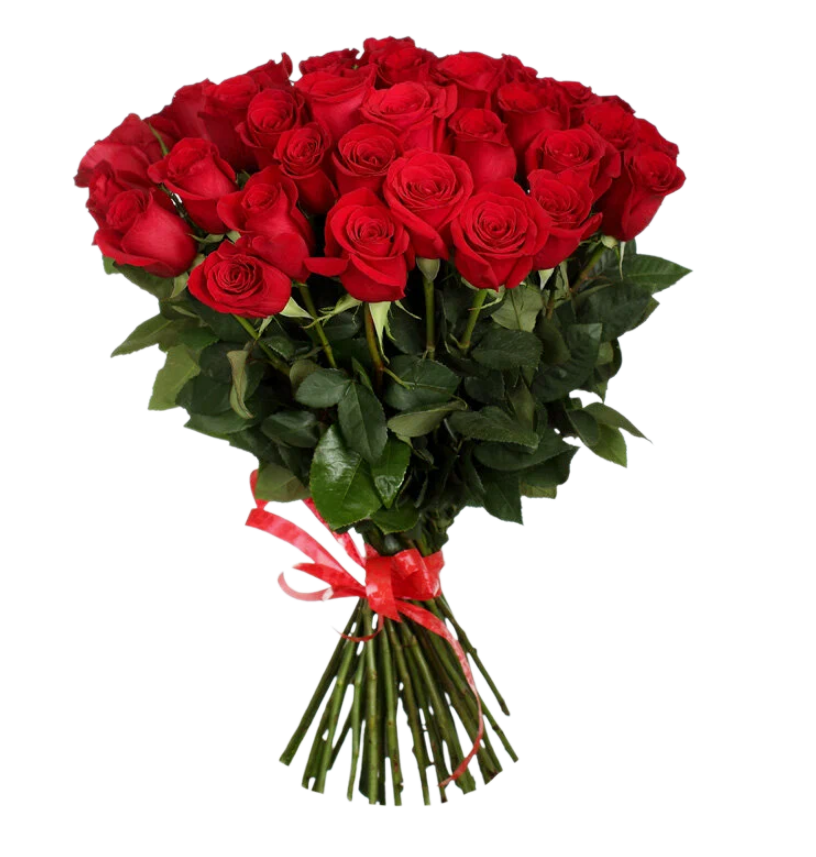 Розы Голландия